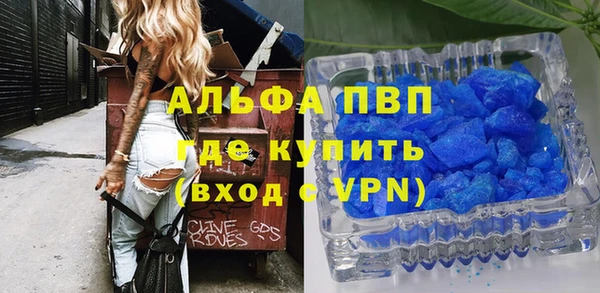 apvp Вяземский