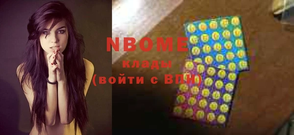 apvp Вяземский