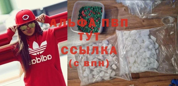 apvp Вяземский