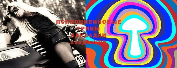 apvp Вяземский