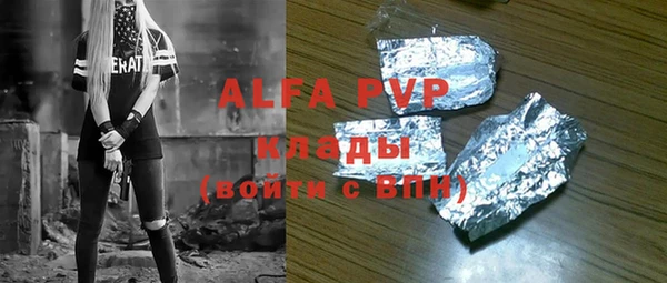 apvp Вяземский