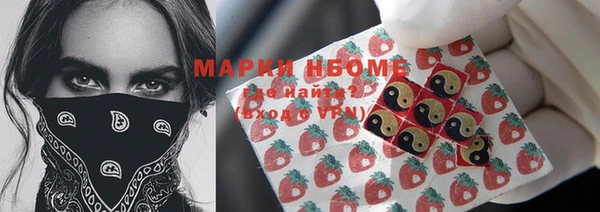 apvp Вяземский